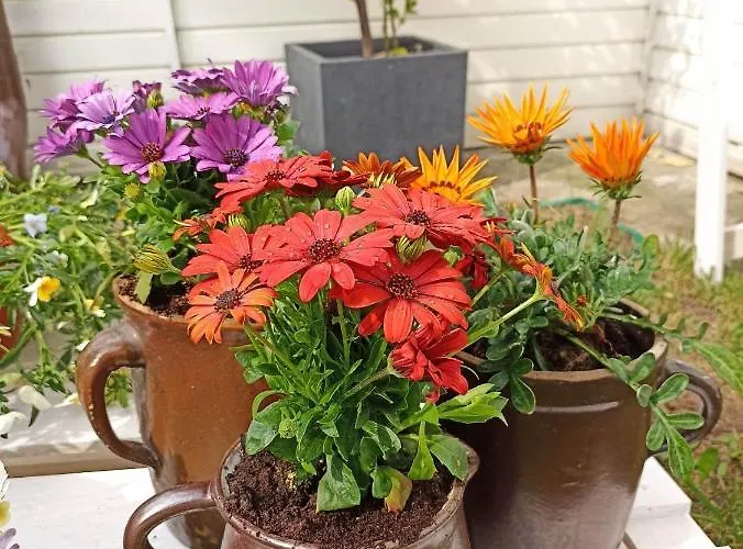 דירה Big Blue - 3 Osobowy Władysławowo