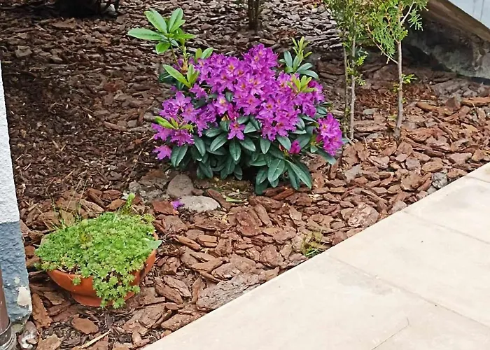 Big Blue - 3 Osobowy דירה Władysławowo